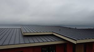 Best Solar Panel Roofing Installation  in Elsa, TX